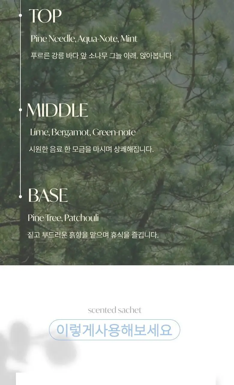 [강릉한정판매]라운드어라운드 센티드 샤쉐 2종 [소나무,커피] 상세페이지 11